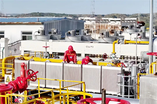 20251015126539.jpg 640.jpg